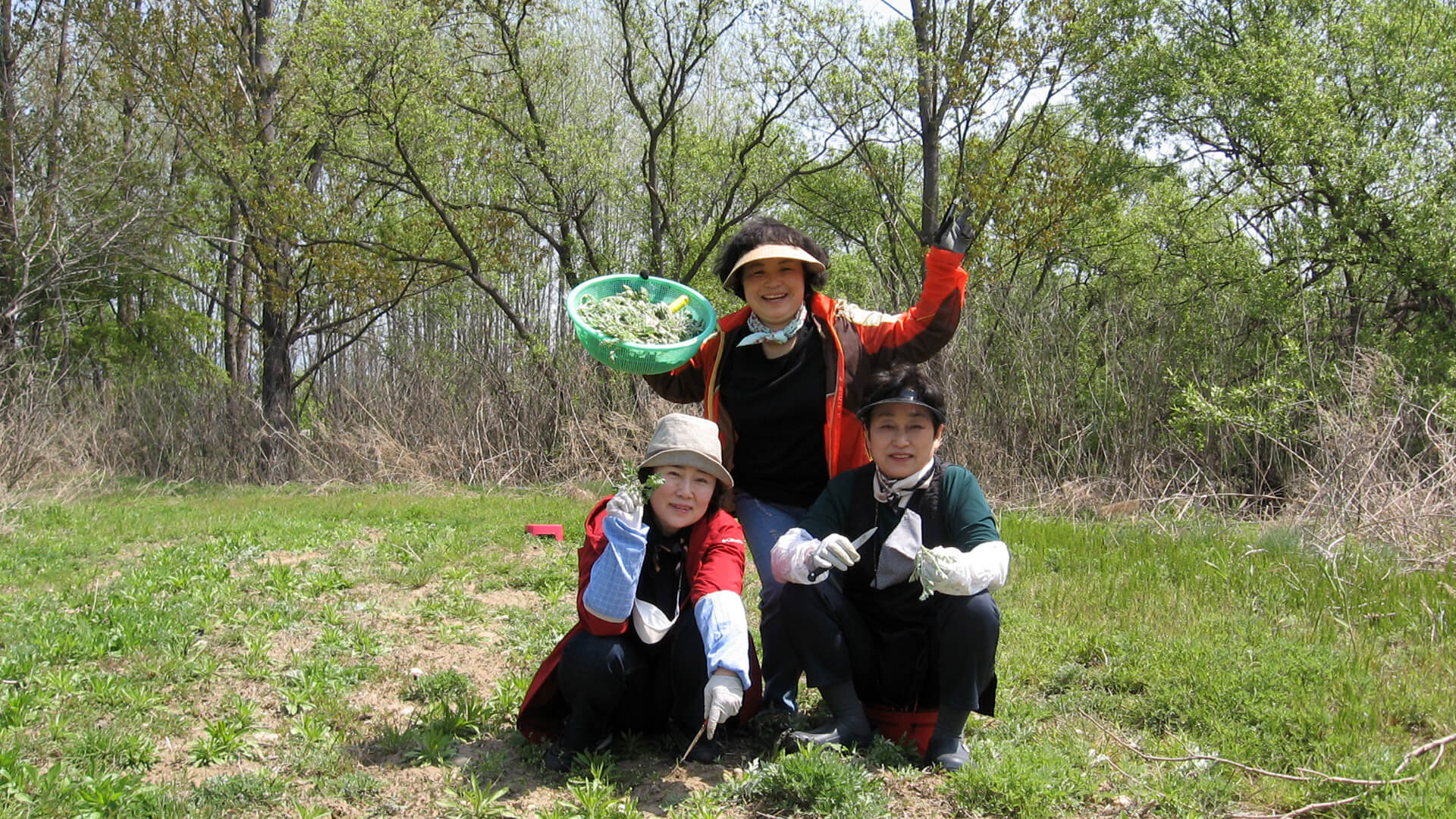 2021.05.08.<br>신축기금 마련을 위해 봉사자 분들이 직접 쑥을 캐고 만든 쑥개떡을 5월 말까지 판매했습니다.